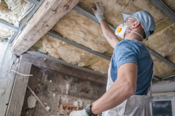 Best Energy-efficient Insulation  in Timonium, MD