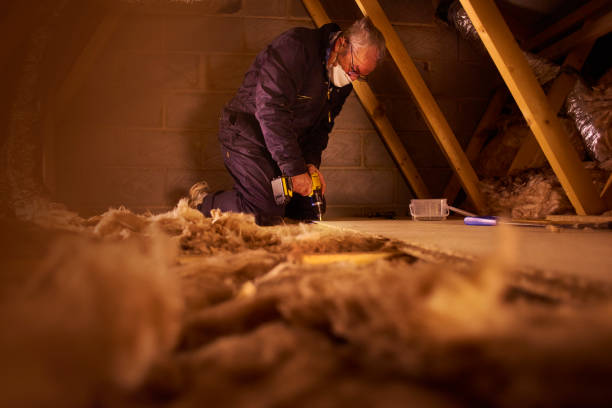 Best Attic Insulation Installation  in Timonium, MD